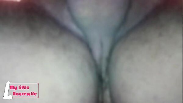 Mature Wife Takes It In Her Hairy Pussy And Ass