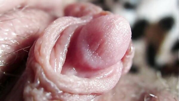 Extreme Close Up Of A Huge Pulsating Clit