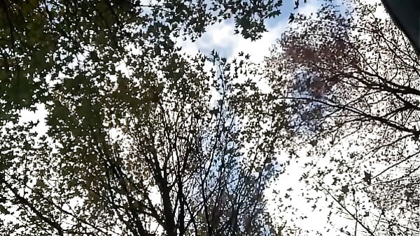 Curly Brunette Sucks and Gets Fucked in the Woods
